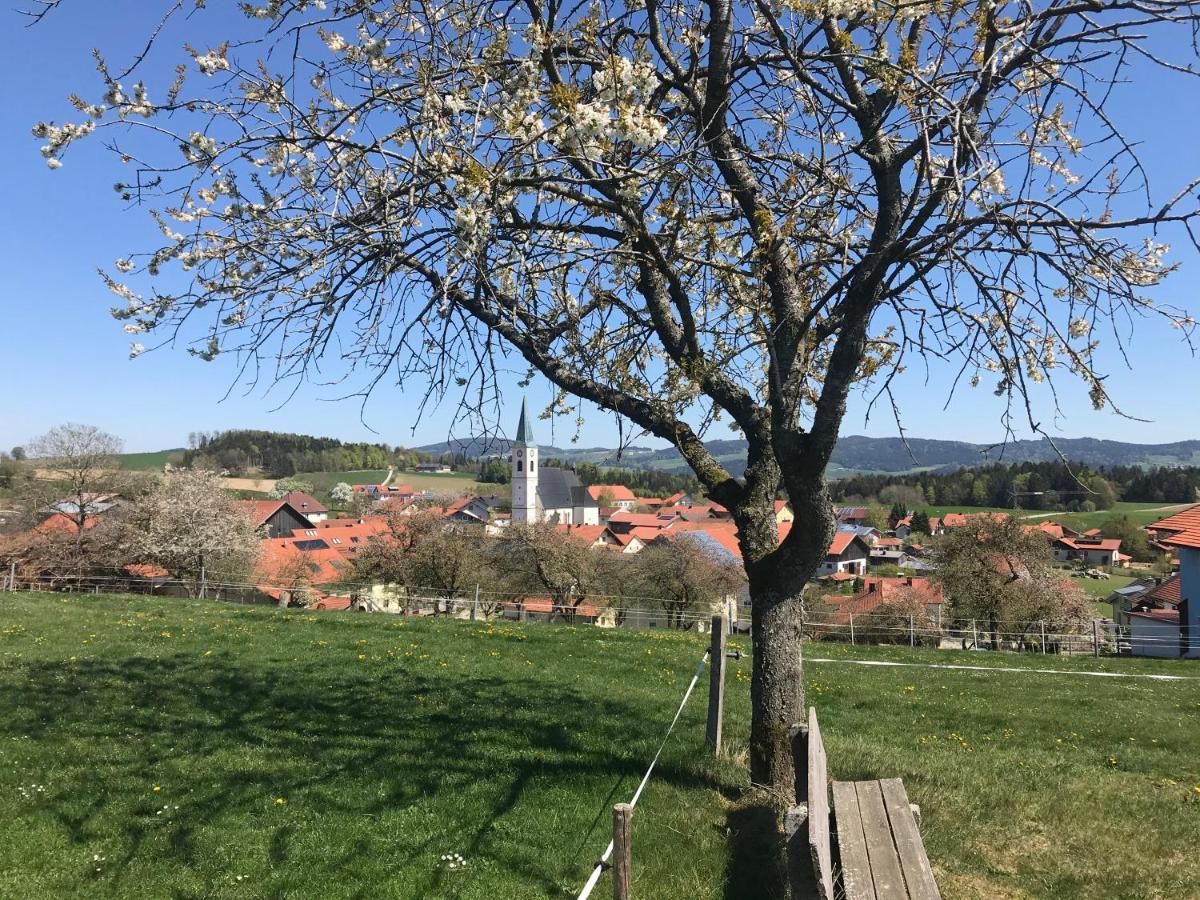 Stan'S Bed & Breakfast Untergriesbach Exterior foto